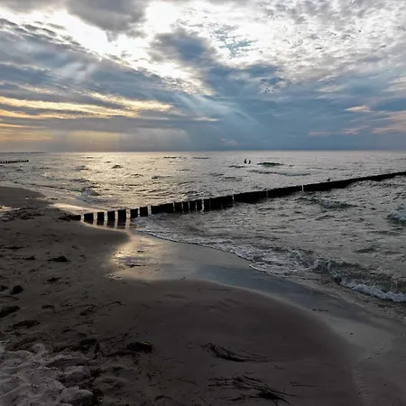 Steinfurths Huesing Morgenroete * Poel