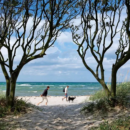 Steinfurths Huesing Morgenroete Appartement Poel